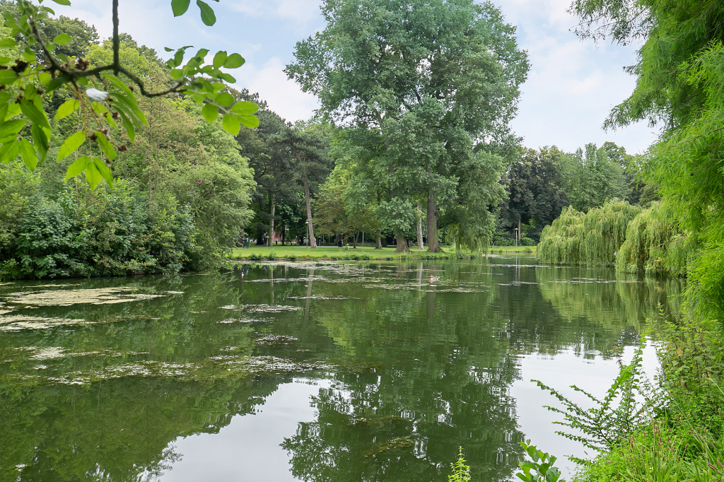 Rijnsweerd & Wilhelminapark